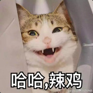 阿雯喵喵不吃鱼