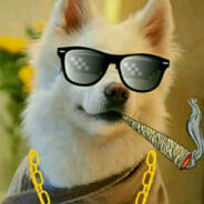 喜马拉雅丶陌路