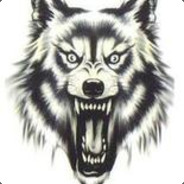 Wolf_Fang