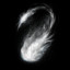 Soul