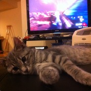 fuzzy - steam id 76561197960510172