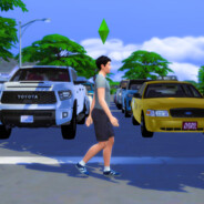 RyoSimsGuru avatar