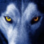 StealthDog5