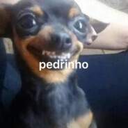 Pedrinho