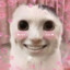 호에에에엥