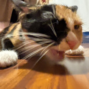 Taint Tickles