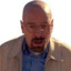 walter hartwell white