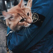 youзер на винтеде