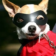 Klumpatsch der Wunderhund