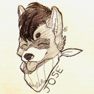 The_Idiot_Raccoon