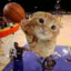 Dunk Cat :3