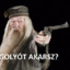 Don Dumbledore