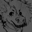 Kaze Folf