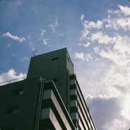 sheltaurа - steam id 76561197965794519