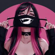 Raidix Wojtex  skins.army