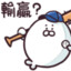普羅多喵喵