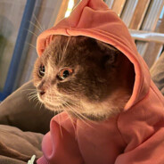 Meow_me0ww
