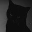 ♕meowgician♕