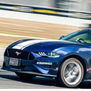 mustang_lover