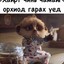 qprtzy