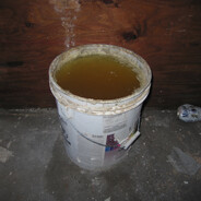 Mina pee bucket
