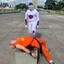 Friza pq vc matou o kuririn?