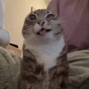 Mad_Mew_Mew