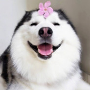 自此阡陌多暖春