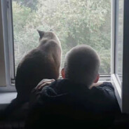 她说缝了也不给我