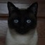 Magster