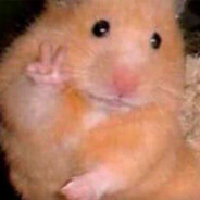 HE_TBOY_YPOBEHb_DOPOGOY