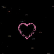 星禾灿烂皆是你