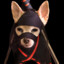 ninjadog4455