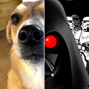 Дарт Вейгер  🛰