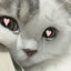 koma