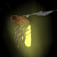 torchbug