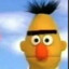 bert