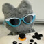 HALCYONLINE