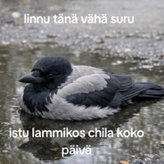 Vihalinnu
