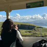 照顾我挑剔的胃