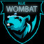 BLUEWOMBAT22