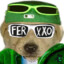 Perro Ferxxo