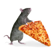 Rat Pizza