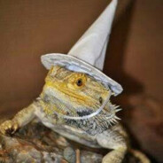 The Lizard Wizard