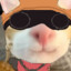 cat engineer