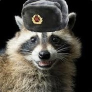 soviet_raccoon