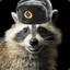 soviet_raccoon