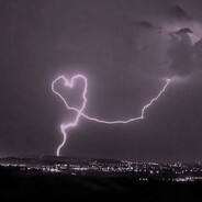 มันไหวป่าว