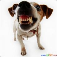 帮我叫小姐我要打十个