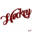 HockeyMaster11